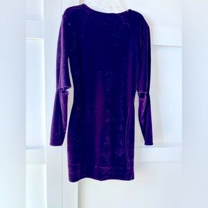 Purple Velvet Dress